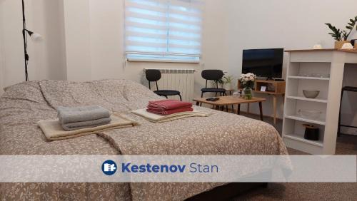 Vrsac Apartamento | Studi-apartman Kestenov stan