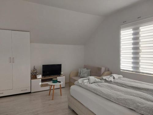 Soko Banja Apartamento | Studio Andrijana Sokobanja