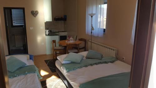 Ogulin Apartamento | Studio apartman Salopek