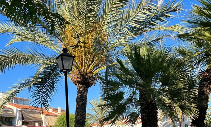 Santa Pola Apartamento | Studio Apartment 'Bungalow En Santa Pola Del Este' with a view of the mountains