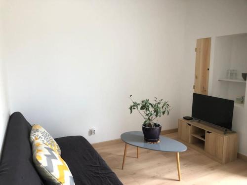 Benejacq Apartamento | Studio avec terrasse privative de 20 m carré