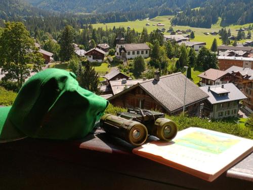 Ormont-Dessus Apartamento | Studio avec vue splendide sur les Diablerets