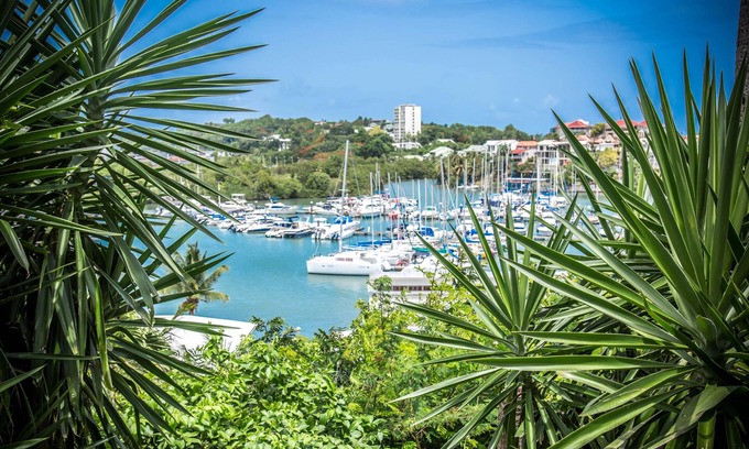 Pointe-a-Pitre Apartamento | Estudio junto al mar en Guadalupe