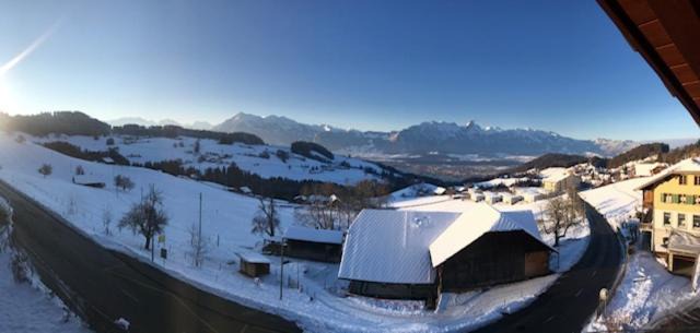 Goldiwil Apartamento | Studio der Alpen