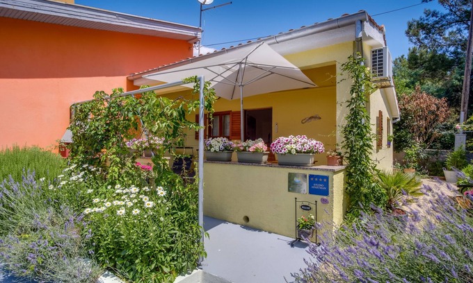 Artatore Apartamento | Apartamento-estudio con una terraza Artatore, Losinj (AS-7952-a)