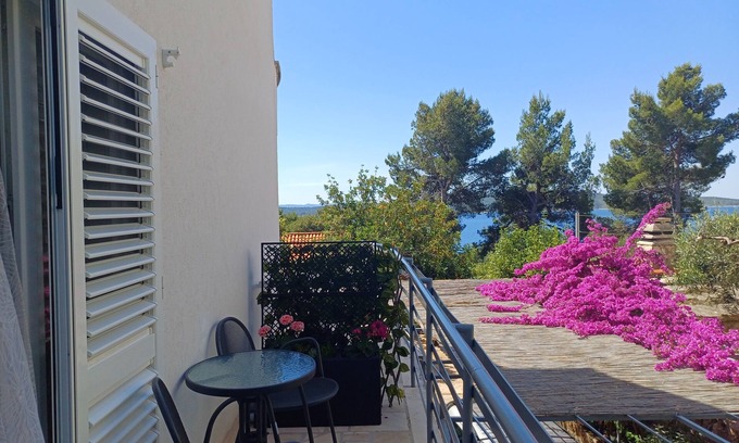 Zavala Apartamento | Apartamento-estudio con una terraza Zavala, Hvar (AS-8710-a)
