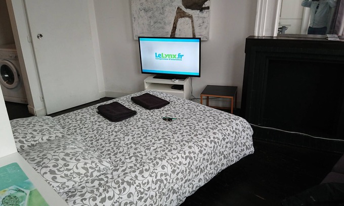 Lille Sud Apartamento | Estudio-Confortable-Baño Privado-Vista a la Calle-Studio Hypercentre