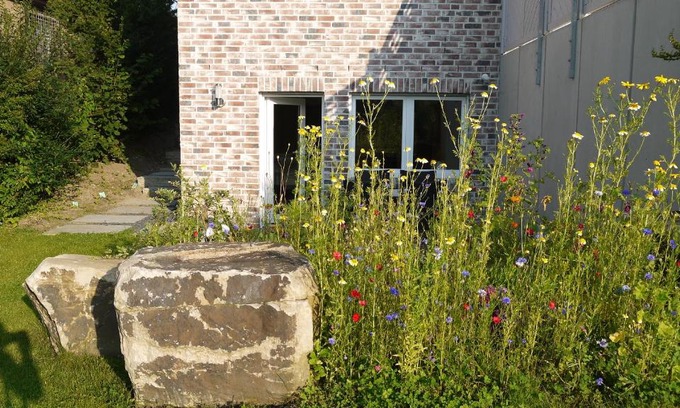 Reinfeld Apartamento | Studio im Haus in Seenähe
