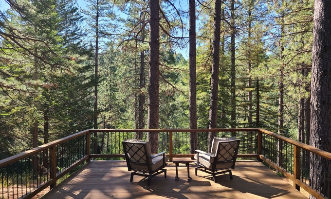 Murphys Apartamento | Studio in Forest with Vineyard