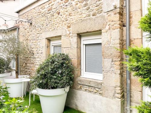 Alencon Apartamento | Studio Jungle N2