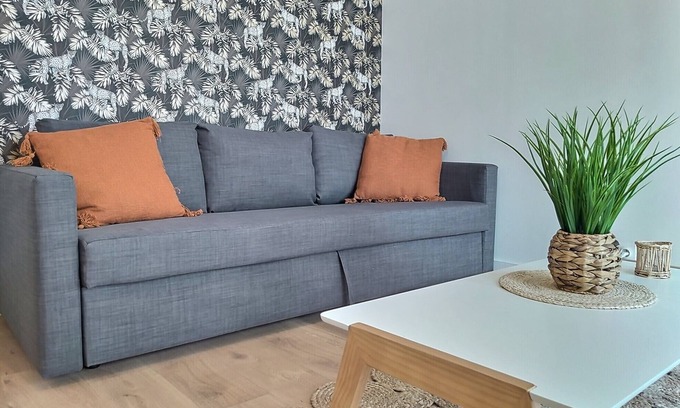 Flore Apartamento | Studio Le Léopard Centre Ville Smart TV Terrasse