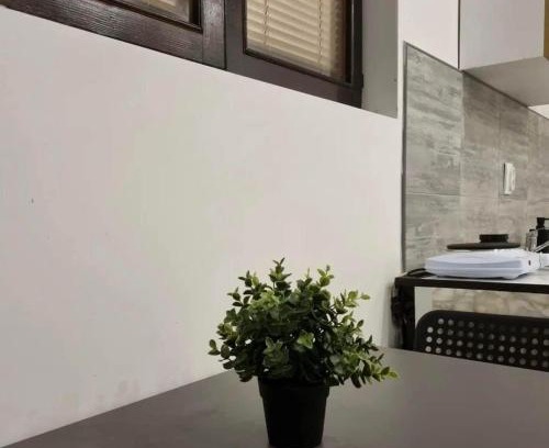 Soko Banja Apartamento | Studio Melem 3