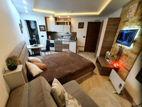 Lisina Apartamento | Studio MIPS S58 Milmari Resort Kopaonik