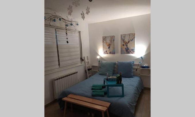 Brunstatt-Didenheim Apartamento | Studio renové en RDJ dans résidence de standing
