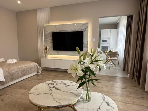 Kielce Apartamento | Studio Szczepaniaka, Baseny Tropikalne
