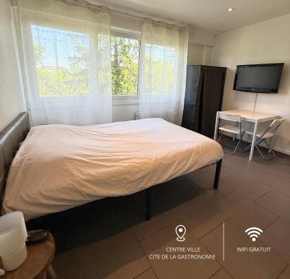 Faubourg-Raines Apartamento | Studio tout confort cité de la gastronomie (3)