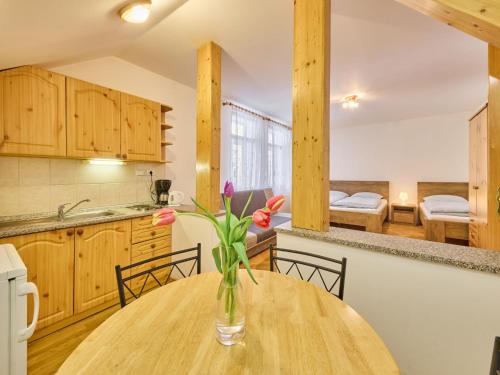 Janske Lazne Apartamento | Studio Villa Belvedere-8 by Interhome