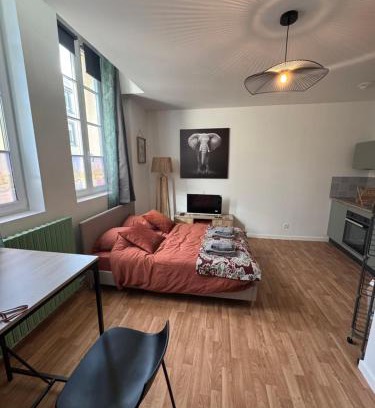 Mayenne Apartamento | Studio Voyage - Proche centre ville