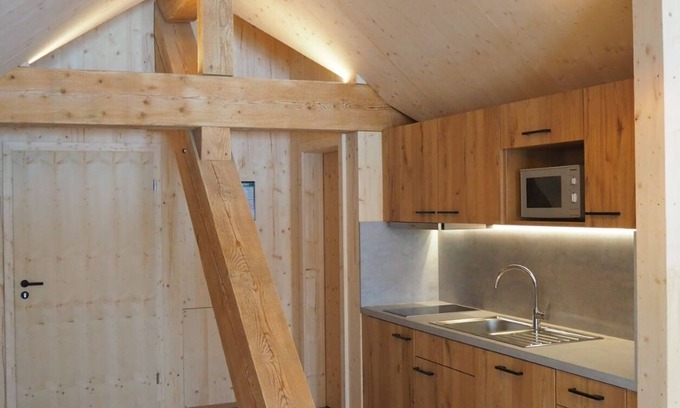 Schonach im Schwarzwald Apartamento | Studio 'Wiederkehr' with Mountain View, Shared Terrace and Wi-Fi