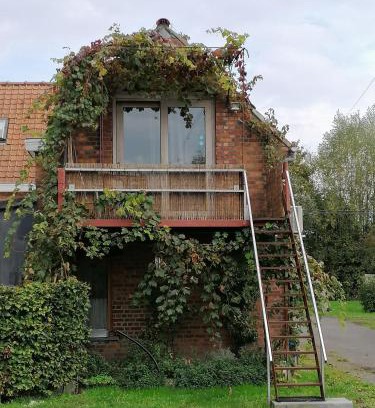Maldegem Apartamento | Studio with More than a View