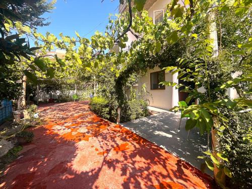 Vlore Apartamento | Studios in Jonis House