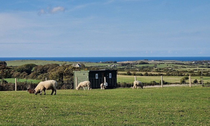 Cylch-Y-Garn Cabina | Stunning 1-bed Shepherd hut