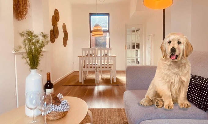 Ormeau Apartamento | Stunning 2 Bed| Ormeau Rd | Free Parking