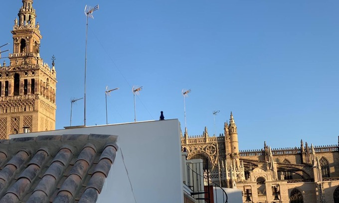 Historical Center Apartamento | Stunning attic w. private terrace & Parking optional