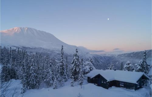 Atra Casa | Stunning Home In Rjukan With Wifi