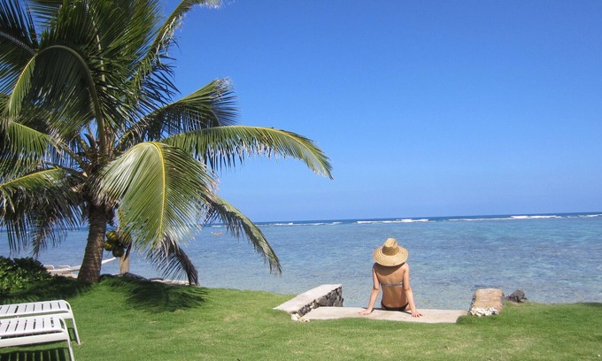 Hauula Apartamento | Impresionantes marinas ~ tortugas nadando en el patio trasero