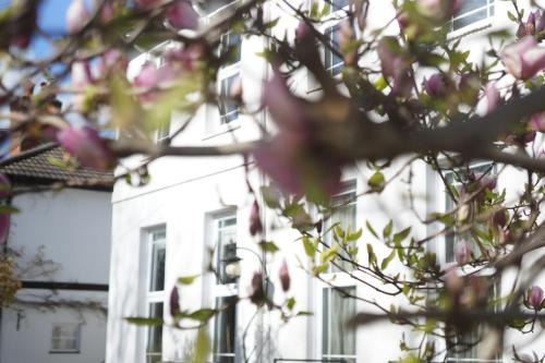 Netley Apartamento | Stunning pied-a-terre moments from the water.