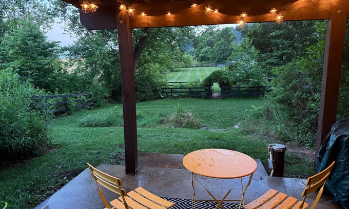 Bluemont Apartamento | Stylish 1-bd/1-ba gardern apt within quaint Bluemont village, walk to wineries.