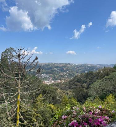 Campos do Jordao Cama Y Desayuno | Suítes Panorama