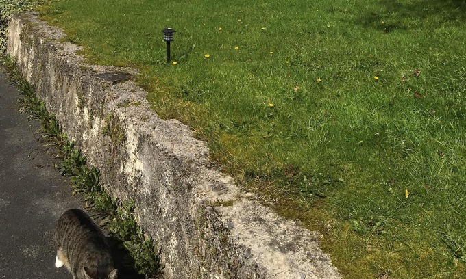 Llandovery Casa | Conversión de granero sustancial de 3 dormitorios cerca de Brecon Beacons con Wifi gratuito