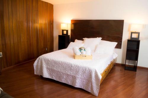 Campestre Apartamento | Suite 1C, Balcon, Garden House, Welcome to San Angel