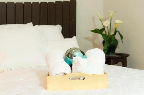 Campestre Apartamento | Suite 5A, Altavista, Garden House, Welcome to San Angel