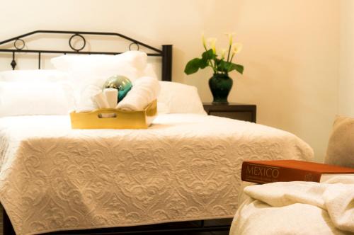 Campestre Apartamento | Suite 5B, Cultura, Garden House, Welcome to San Angel