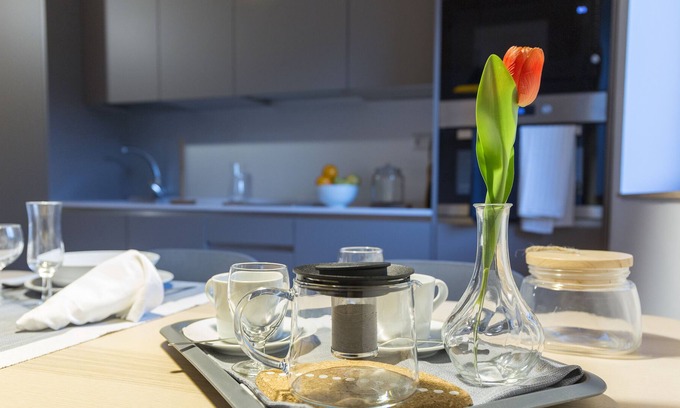 Baztan Apartamento | Apartamento tipo suite en entorno rural