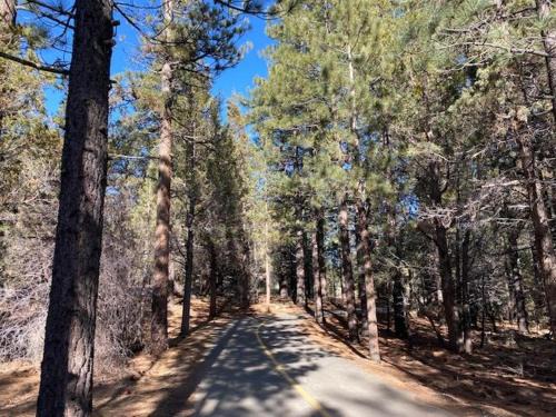 Summit Estates Casa | Summit Condo - Luxury condo, walk to the slopes!