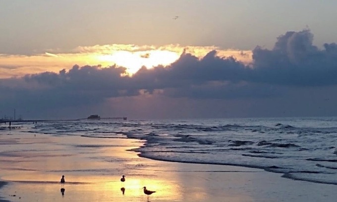 Galveston Apartamento | Where memories shine the brightest ✨