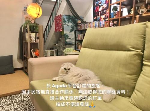 Toucheng Casa | Sun Moment 鬆貓們民宿
