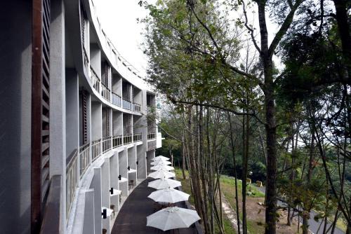 Yuchi Hotel | Sun Moon Lake Bamboo Rock Garden