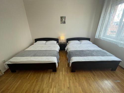 Savamala Apartamento | Sunlight House