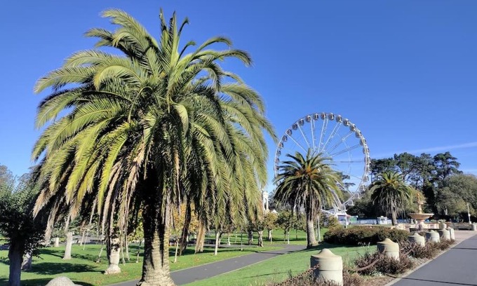 Central Richmond Apartamento | Sunny SF home, quiet, convenient w/parking