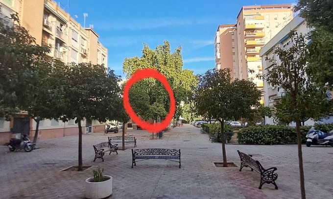 San Pablo A y B Apartamento | Sunny & stylish handmade home. WI-FI, a/c and free parking on the street.