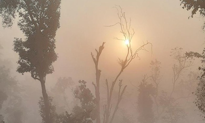 Kutta Casa | Sunrise Homestay, Nagarahole