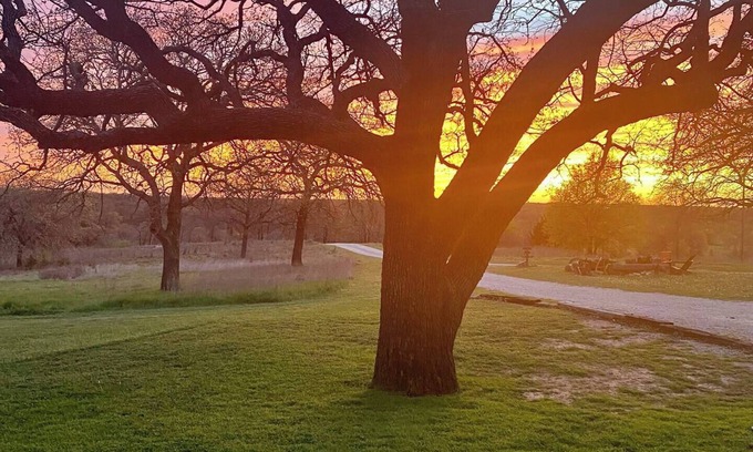 Nocona Otro | Sunset Oaks Retreat | Events, Farm Animals & Views