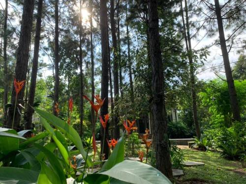 Chau Duc Cabina | Suoi Rao Ecolodge