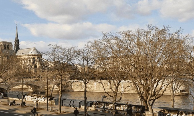 Quartier de la Monnaie Apartamento | SUPERBLY LOCATED NEAR LUXEMBOURG GARDEN & ST GERMAIN- A BLOCK TO SEINE