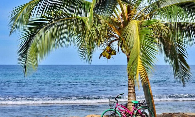 Bocas del Toro Cama Y Desayuno | Surf Break at Paunch